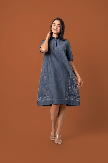 Embroidery Detail Collared Short Dress